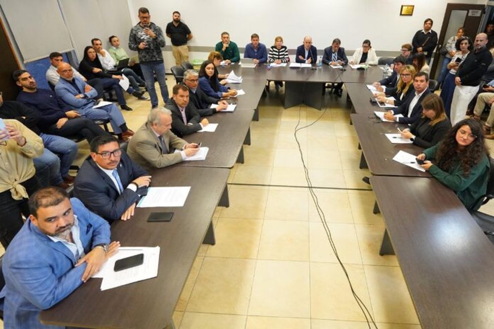 Las comisiones de Diputados.