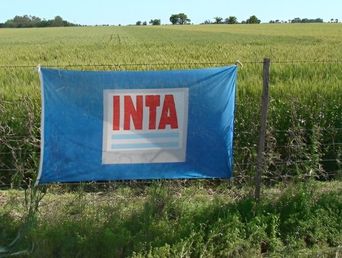 Confirman el cierre de 14 agencias de extensión rural en la provincia de Buenos Aires y en Córdoba. Confirman el cierre de 14 agencias de extensión rural en la provincia de Buenos Aires y en Córdoba.