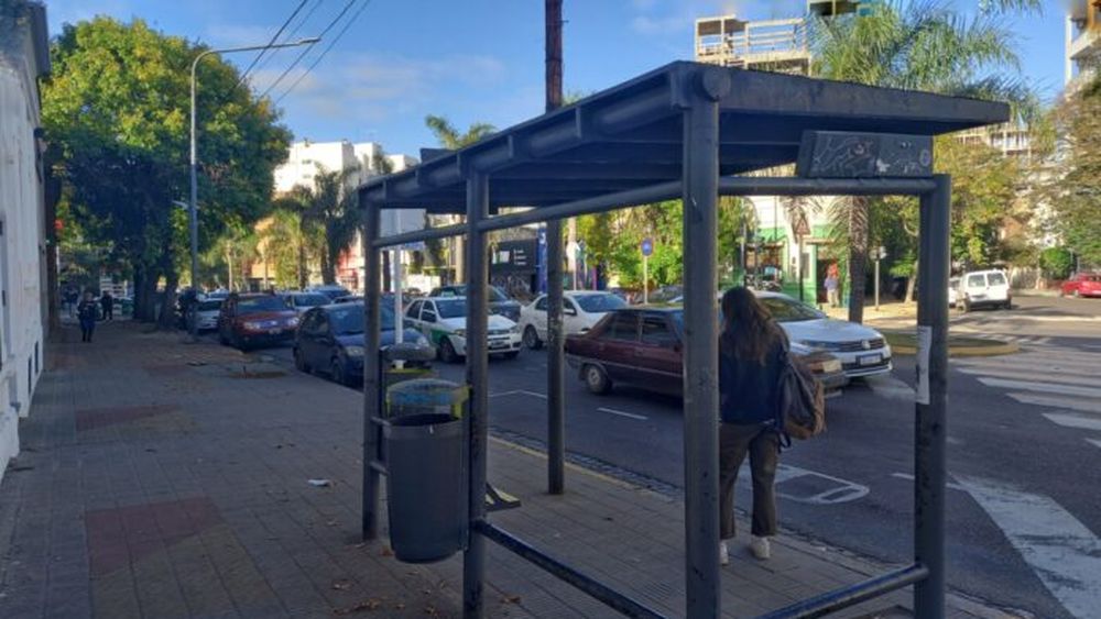 Mañana sí habrá transporte.