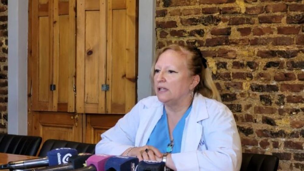 Silvia Zárate, subdirectora de Pediatría del Hospital Municipal de Bahía Blanca. - La Nueva -