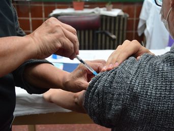 La vacunación contra la gripe. La vacunación contra la gripe.