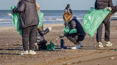 El operativo de limpieza en la playa involucró a más de 200 voluntarios.