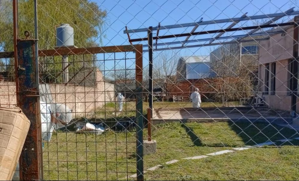 La Policía Científica trabaja en el lugar donde fue hallado el cuerpo de Claudia Scarzzolo. (Redes)