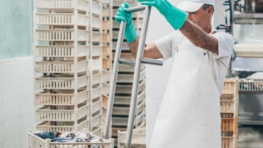 Un trabajador de la industria del pescado.&nbsp;