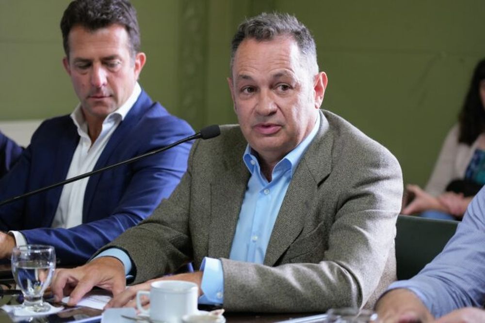 El senador provincial Alejandro Cellillo. (Prensa UCR – Cambio Federal)