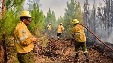Los incendios afectan a gran parte del país.&nbsp;