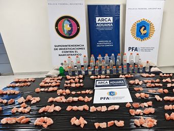 La droga secuestrada en el Puerto de Zárate.