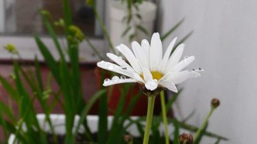 La primavera meteorológica comienza con el inicio del mes de septiembre.