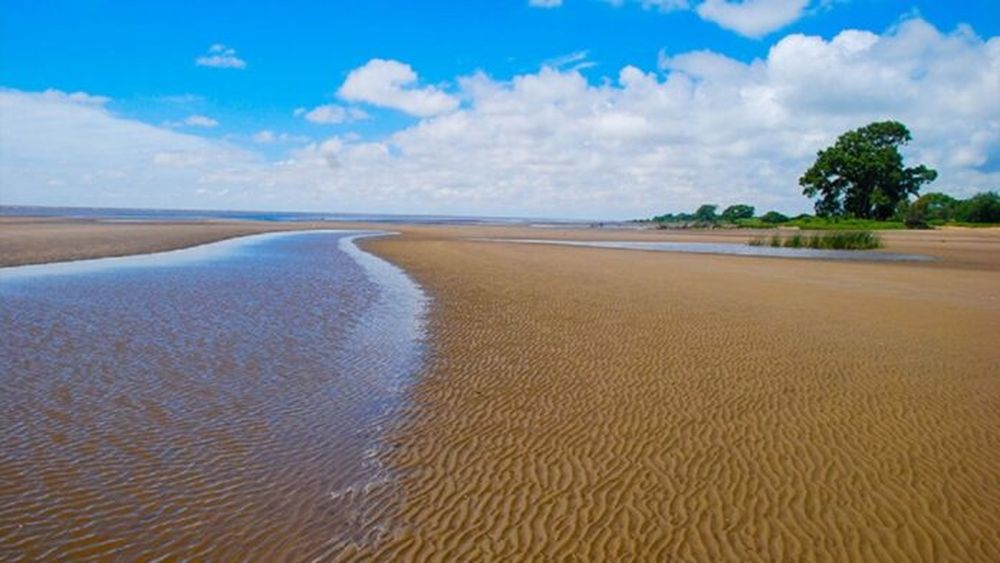 La playa de Punta Indio.