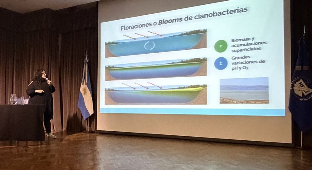 La exposición de las científicas.