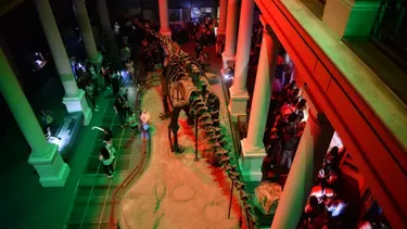 El Museo de Ciencias Naturales es uno de los más elegidos por los “visitantes nocturnos”. (0221)