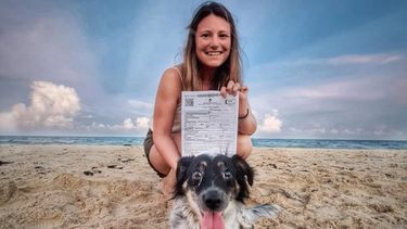 Claves para viajar con una mascota al exterior. 