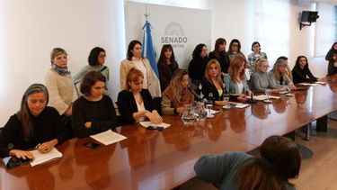 La presentación de “Cultura del Acoso: Punto y Aparte” en el Senado. (X Periodistas Argentinas)