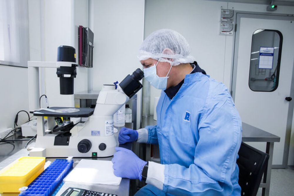 laboratorios_cassara_arvac