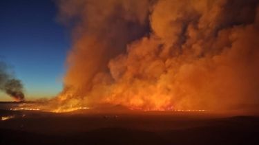 El incendio en Mayor Buratovich tiene un frente de mil metros.