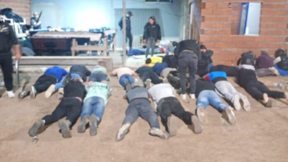 Imágenes del operativo ilegal en La Plata. - El Día