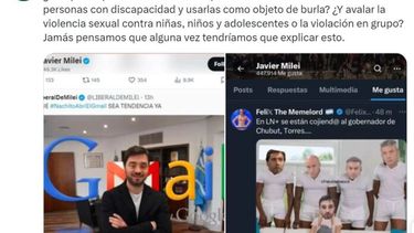 Amnistía Internacional posteó las publicaciones discriminatorias a las que el presidente, Javier Mieli, les dio me gusta. (Red social X)