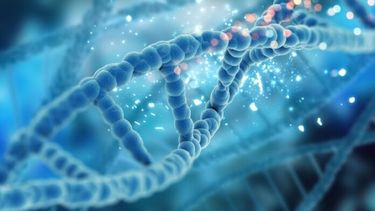 epigenetica-adn-paula-diaz