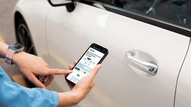 Pago del impuesto inmobiliario.