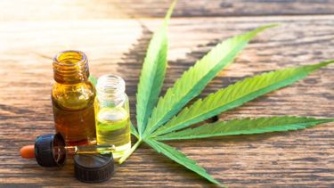 Novedades sobre el cannabis.