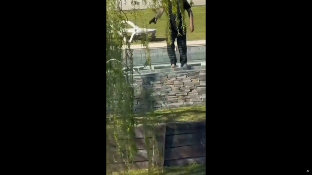 Imagen de uno de los videos en los que se ve a un hombre disparando a un grupo de carpinchos en Nordelta.&nbsp;