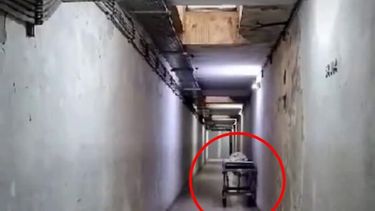 La camilla que parece deslizarse en el estrecho pasillo del hospital. (Captura de video)