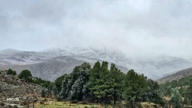 nieve en sierra de la venta
