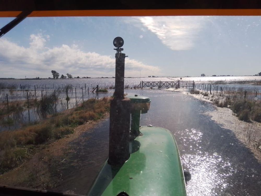 Las inundaciones afectan a miles de hectáreas en la provincia. (Foto: Patricia Gorza)
