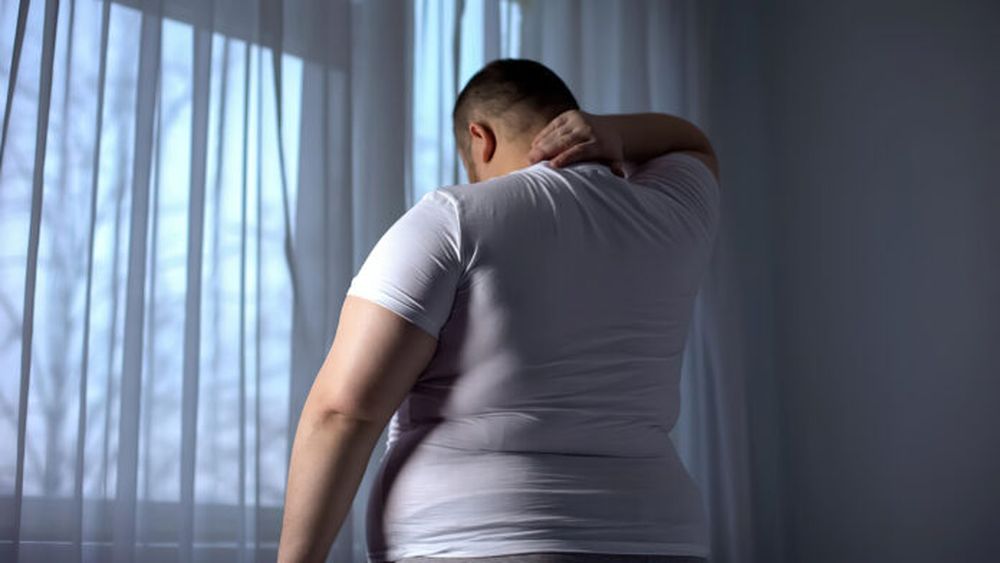 El desconocimiento sobre temas relacionados con la obesidad es generalizado.