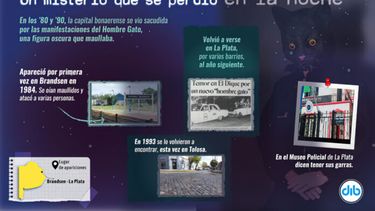Infografía: DIB