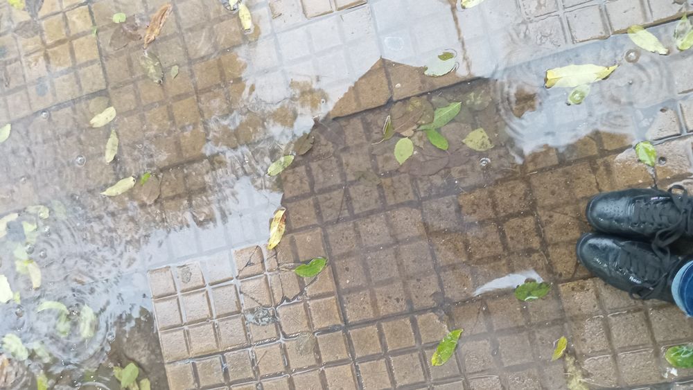 Llegan las tormentas.