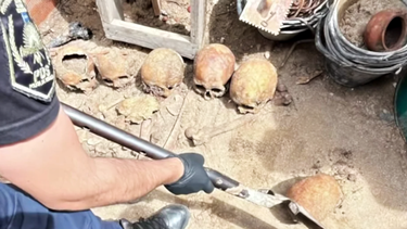 El sorprendente hallazgo en una casa de Ostende.