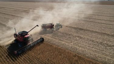 La soja alcanza precios de otras épocas.