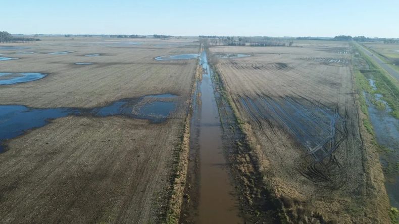 Gran parte de las lluvias caerán sobre campos que ya están anegados. (Carbap)