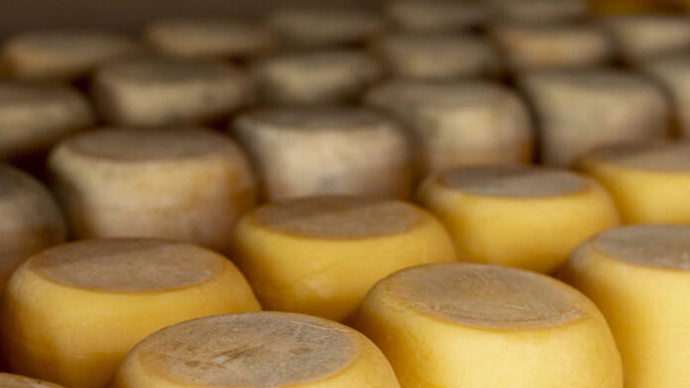 El queso, una pasión argentina.