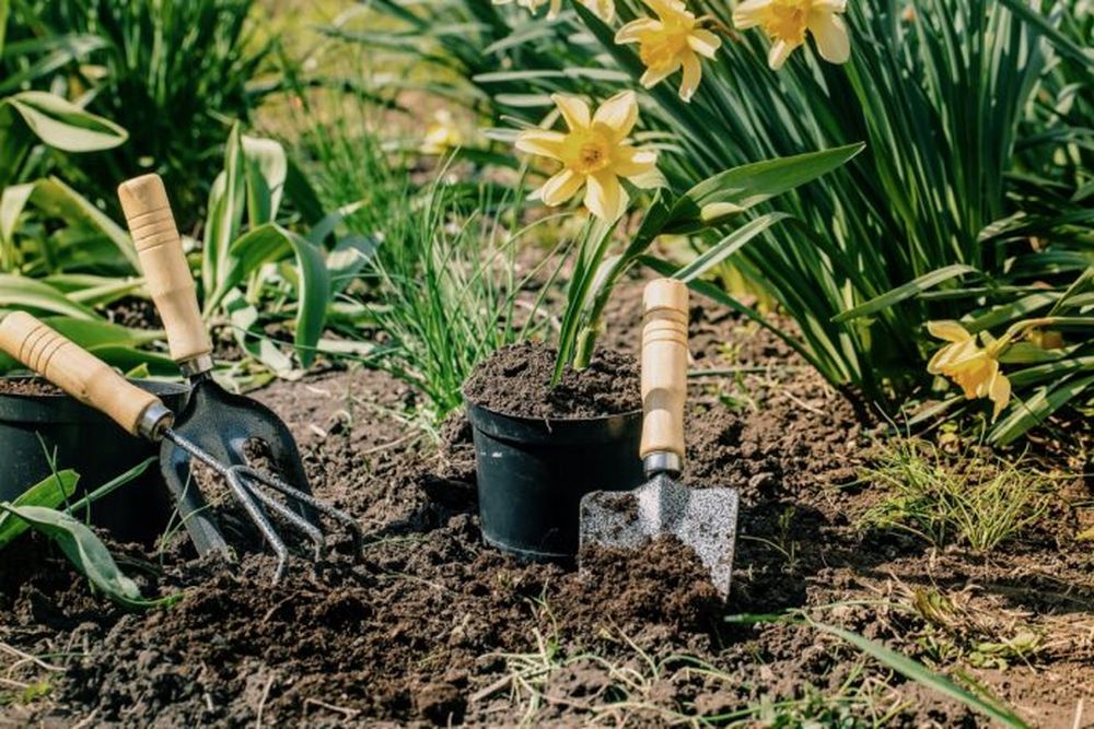 Los ferilizantes en la mira.