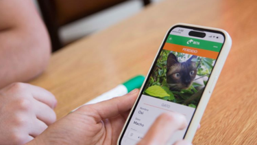 La app BETA desarrollada por egresados de la UNLP.