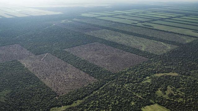 La tierra es una parte de aquello que un país puede decidir conservar, administrar y proteger para las generaciones que todavía no llegaron.