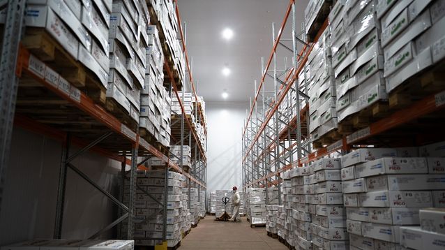 Un trabajador en un frigorífico. (Agencia Xinhua) Un trabajador en un frigorífico. (Agencia Xinhua)