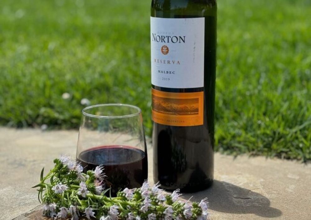 La imagen que subió la cantante a sus redes, con la exclamación “Jesus fucking Christ!”. (Instagram)