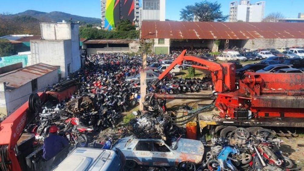 Compactarán 1.500 vehículos en Tandil. - Municipalidad de Tandil -