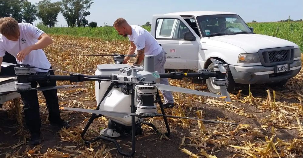 El INTA ve en la siembra aérea con drones una alternativa rápida y sustentable.