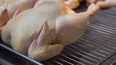 Subió el consumo de carne de pollo.