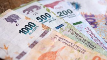Imagen de billetes de pesos argentinos de distinta denominación. (Xinhua)