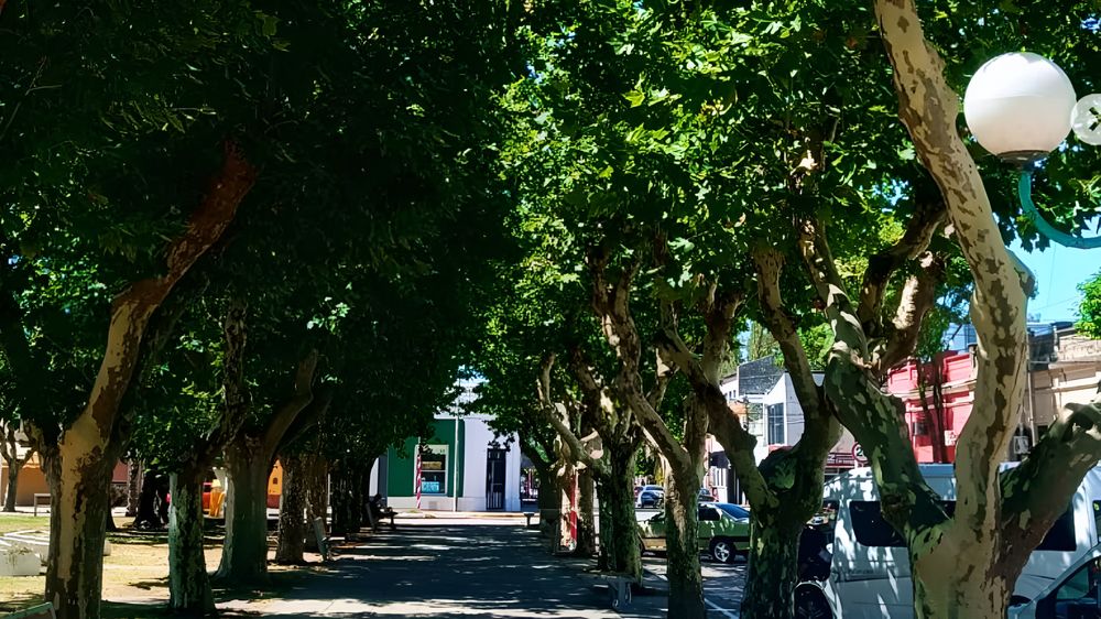 La plaza Mitre es el punto de encuentro y corazón social de Lima