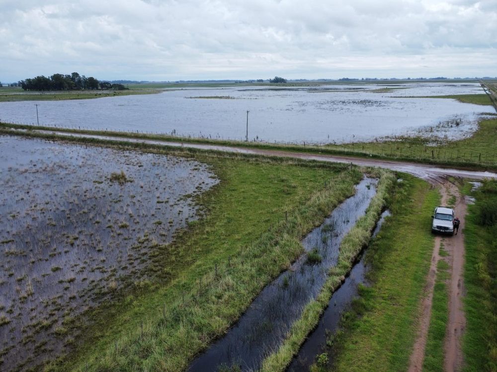 Un campo inundado en el corazón de la provincia de Buenos Aires.
