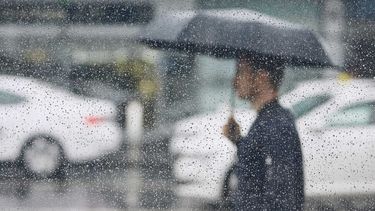 Diarios Bonaerenses | primavera humeda