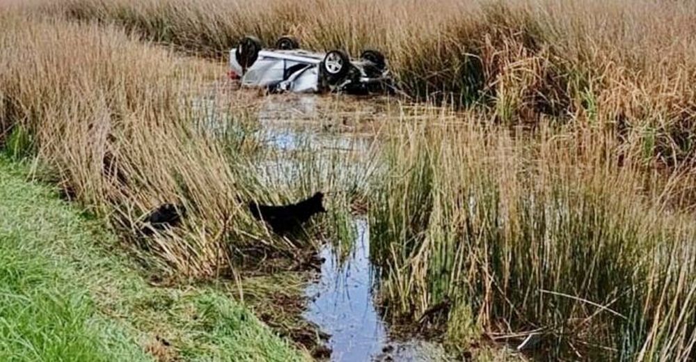 El coche quedó en la banquina llena de agua, con la ruedas hacia arriba.