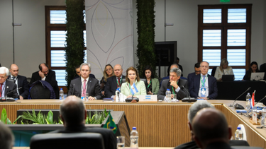 La Canciller Diana Mondino, en la sesión plenaria del Consejo Mercado Común del MERCOSUR.