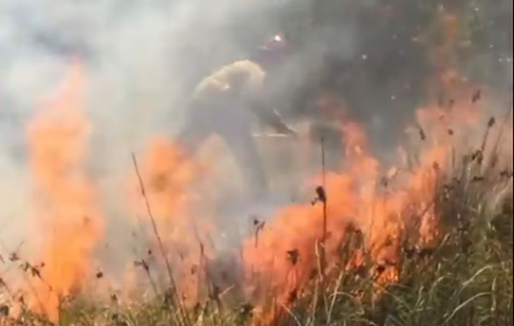 Los pastizales secos favorecen la propagación del fuego. Los pastizales secos favorecen la propagación del fuego.